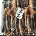 New frozen illex squid 150-200g Whole round China calamary high quality price